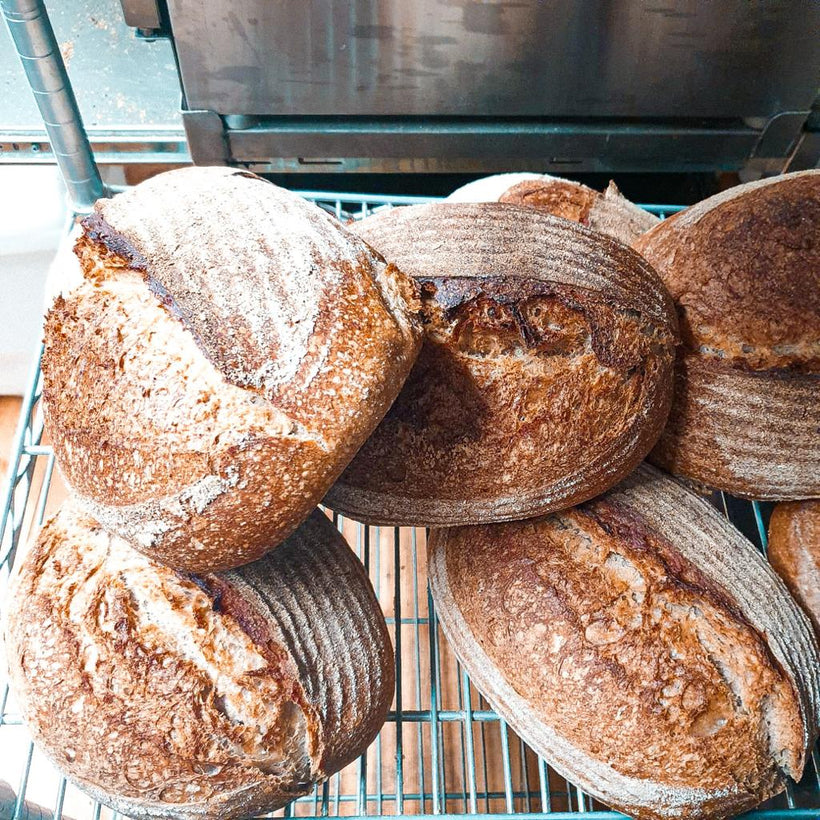 Bread