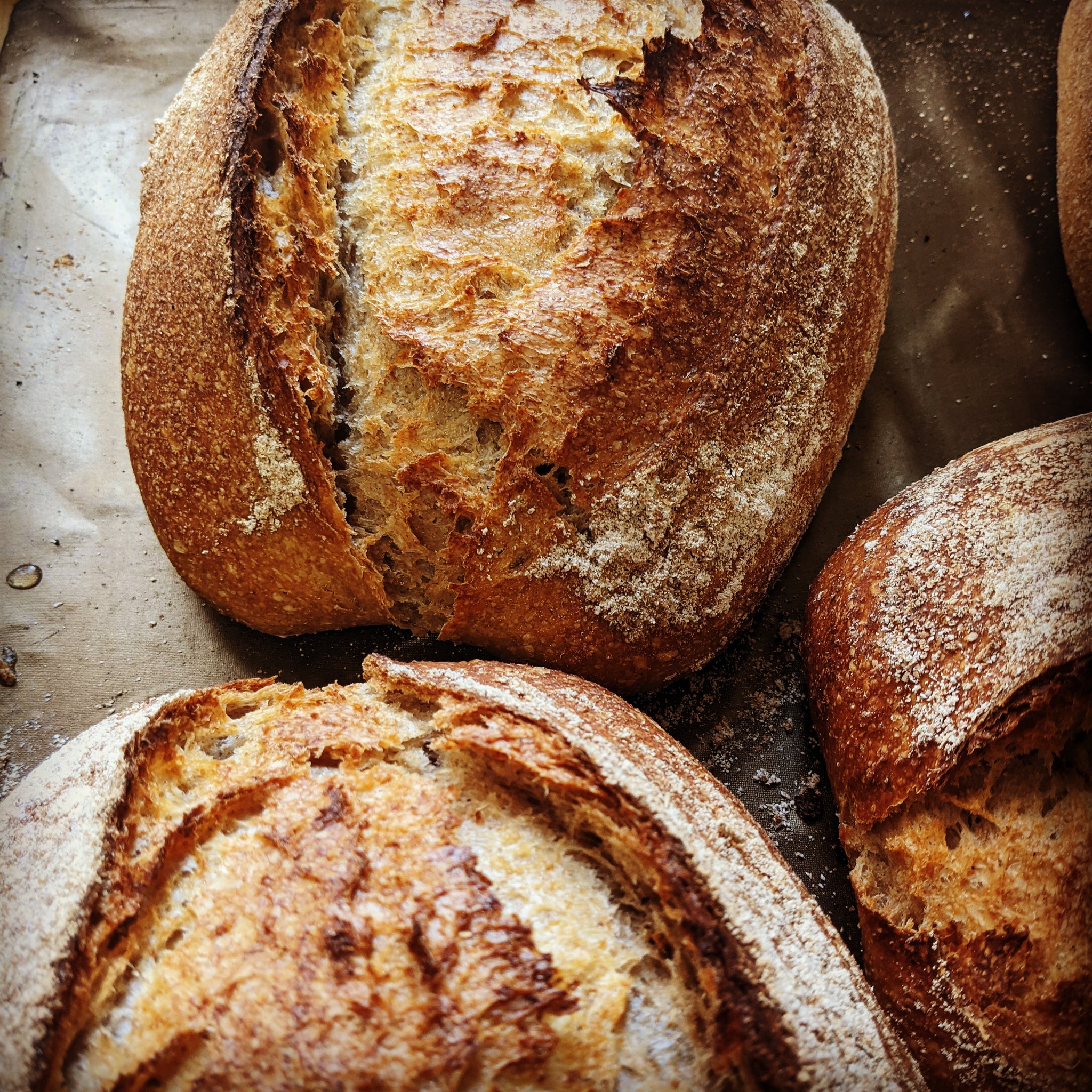 Jalapeno & Cheddar Sourdough (Saturday only!)
