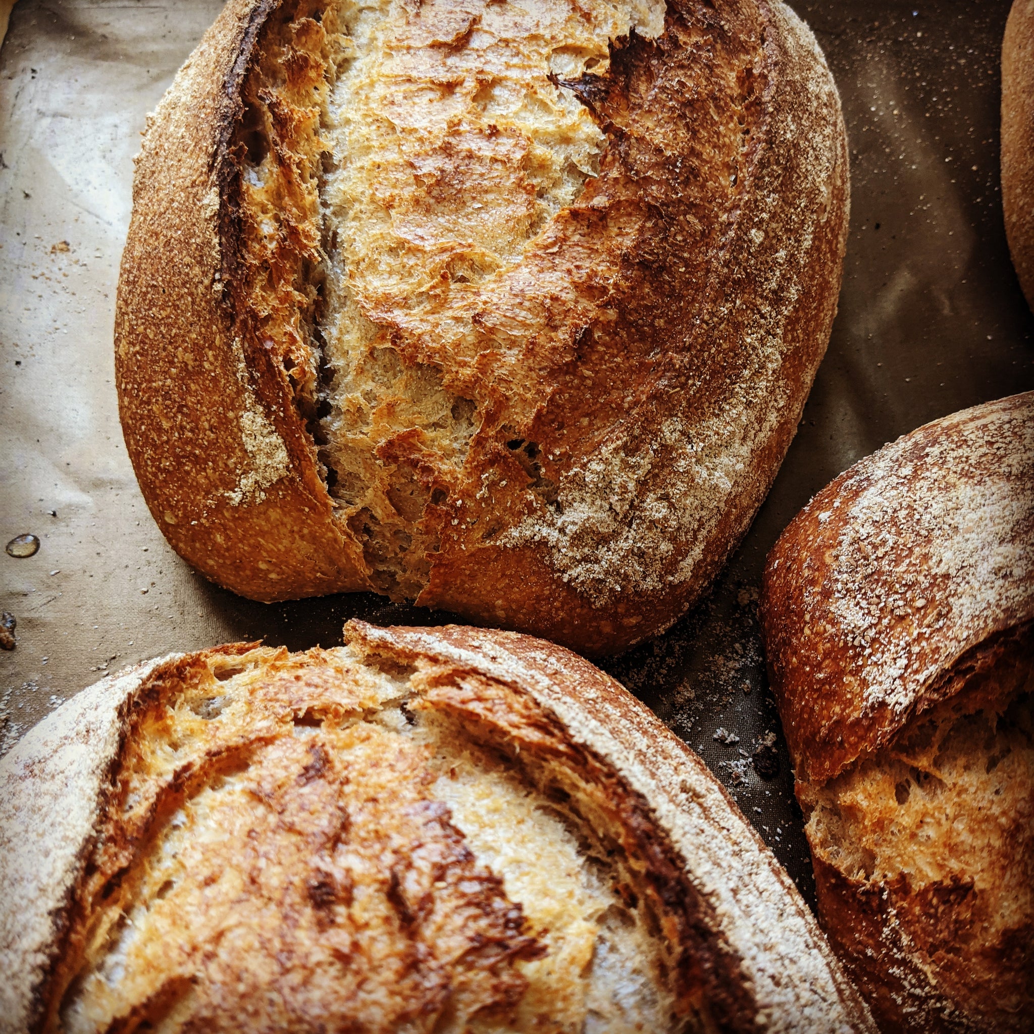 Sourdough special - Saturday only!