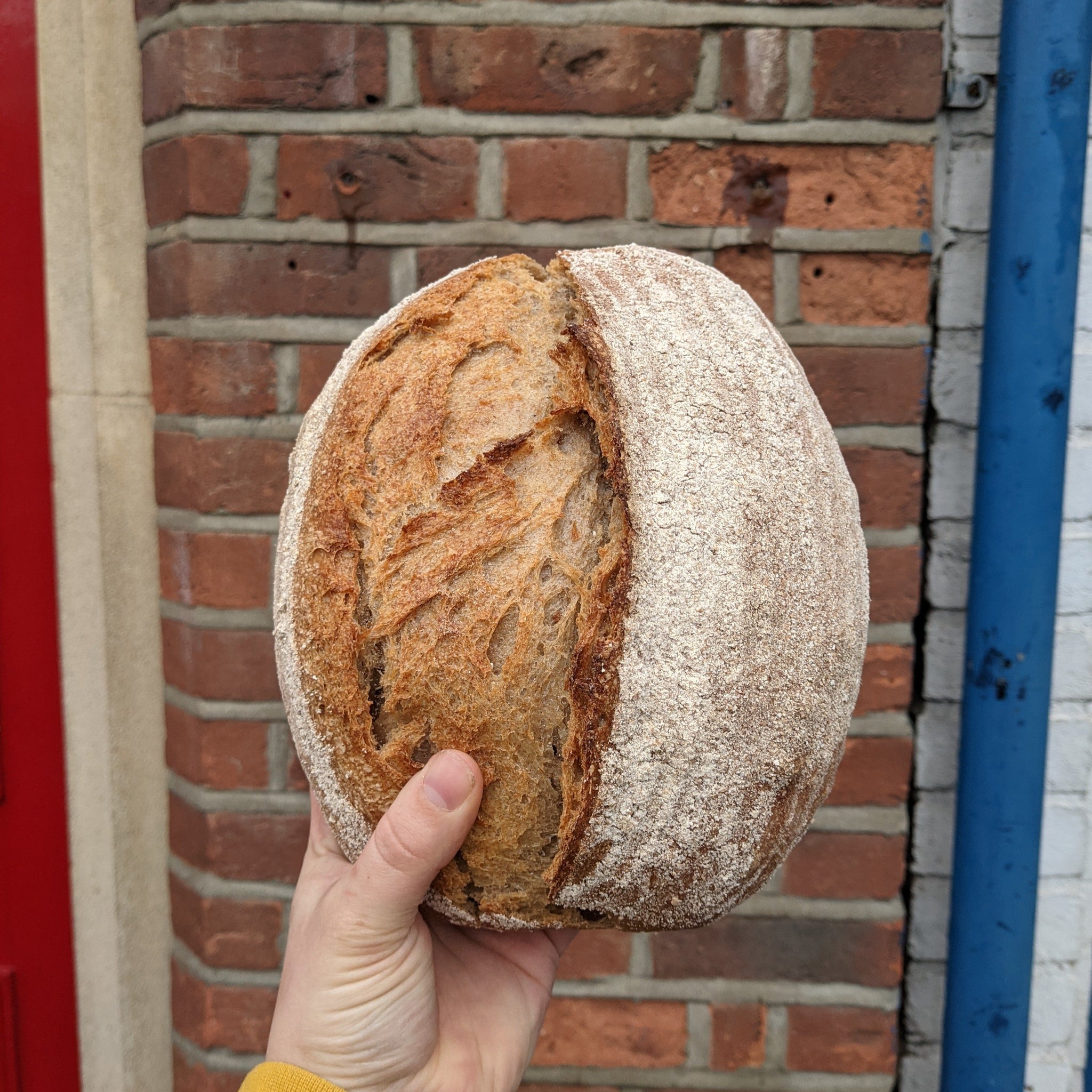 Wholemeal sourdough (100% Organic)